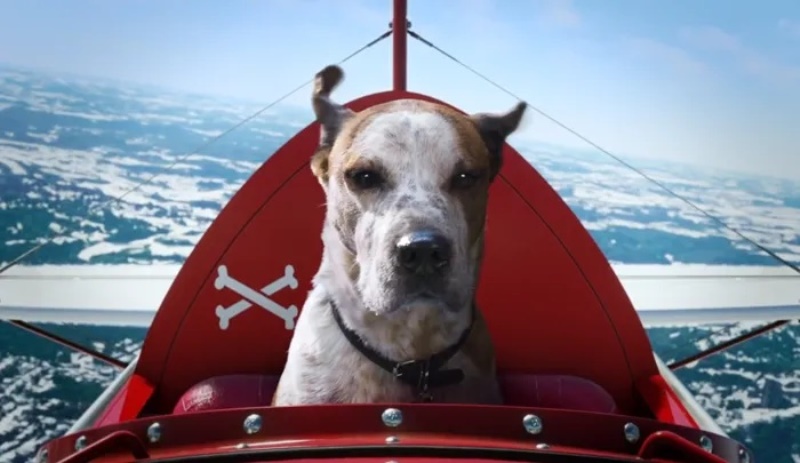 Microsoft traz o 'Rufus' para sua campanha de Natal Microsoft traz o 'Rufus' para sua campanha de Natal