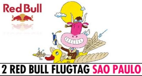 Red Bull Flugtag divertiu público em São Paulo