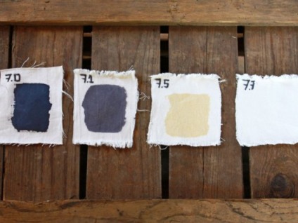 A mesma roupa, desenhos diferentes? Conheça Refinity