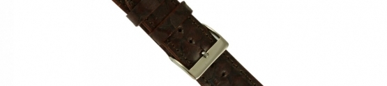 Indian watch can protect women