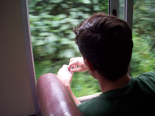 Passageiro do trem joga suas sementes de palmito.