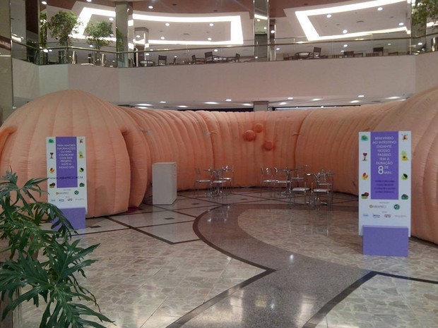 Réplica gigante de intestino alerta para prevenção do câncer em Cuiabá