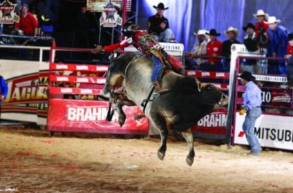 Brahma amplia participação em eventos country