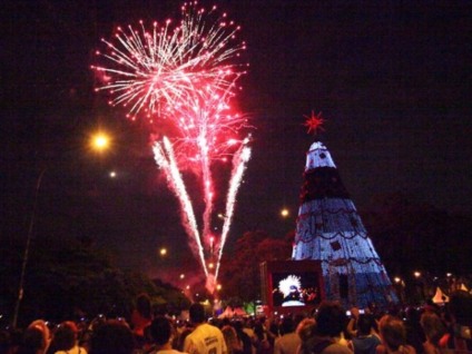 Um presente para a família na Árvore de Natal Flutuante