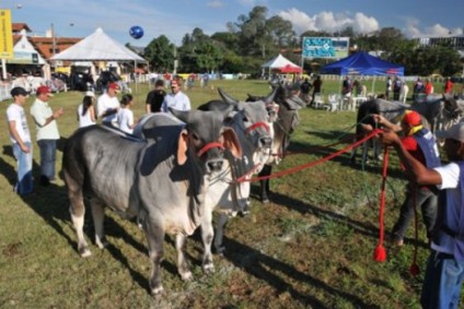 Superagro espera mais de dois mil produtores rurais