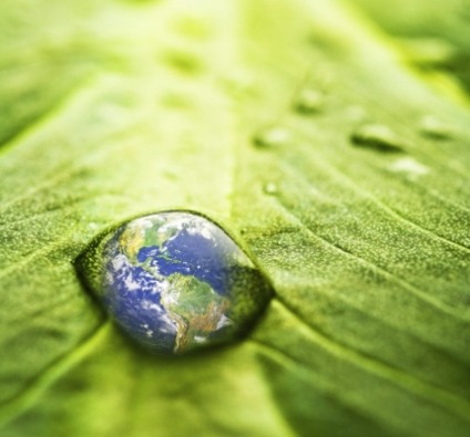 Ibef premiará ações sustentáveis de empresas