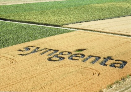 Syngenta promove concurso de fotografia
