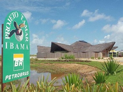 Petrobras lança concurso para 30 anos do Tamar
