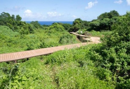 Fernando de Noronha inaugura trilha para cadeirantes