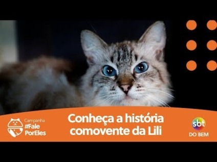 SBT do Bem dá voz aos animais