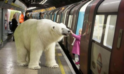 Ação de live mkt leva urso polar às ruas de Londres