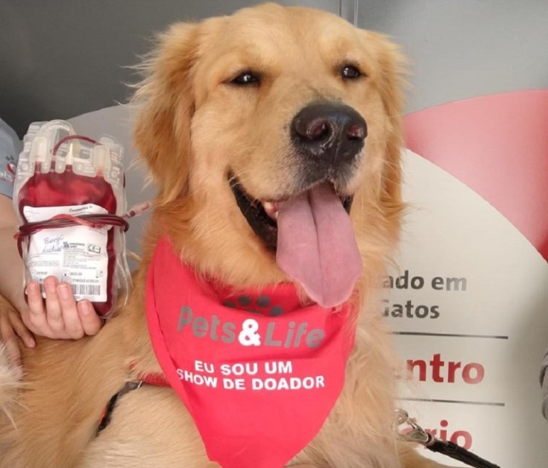 Pets são convocados para doação de sangue