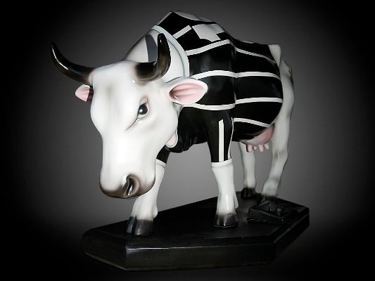vaca-cowrinthiana