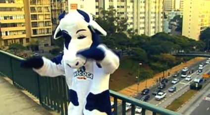 Vaquinha Mococa faz travessuras em ruas e parques