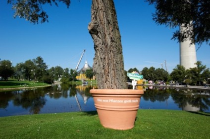 A ação de ambiente para uma floricultura na Alemanha