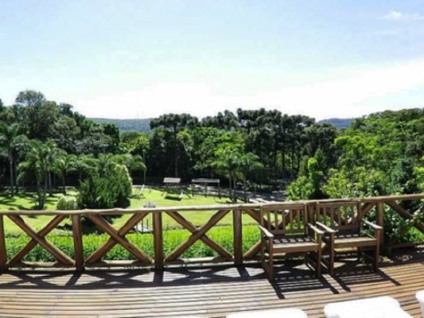 Hotéis investem no turismo com pets