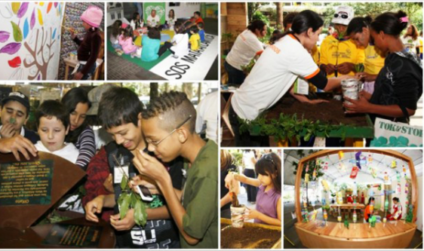 Viva a Mata promove a sustentabilidade em São Paulo