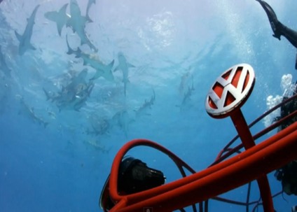 Volkswagen comemora a "Shark Week"
