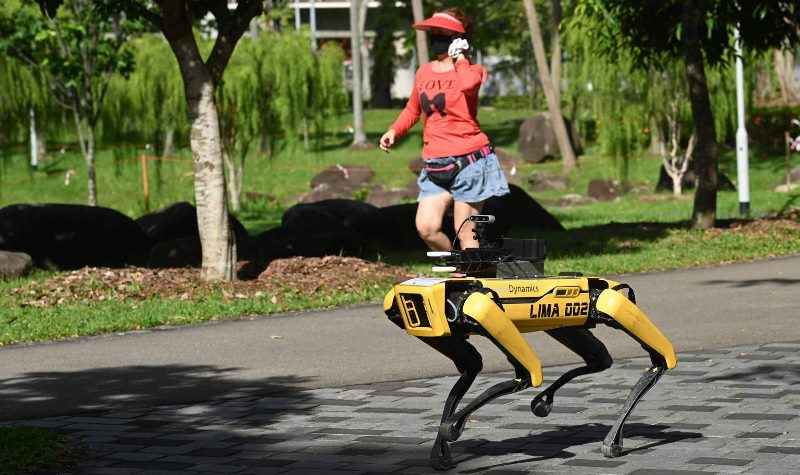 Cão robô alerta sobre a importância do distanciamento social