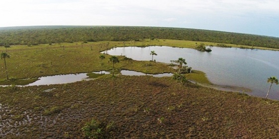 WWF Brasil apresenta o projeto Ecodrones