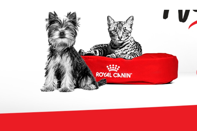 Royal Canin apresenta 'Mais juntos do que nunca'