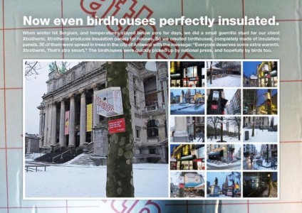 Pássaros não passam mais frio com ação promo na Bélgica