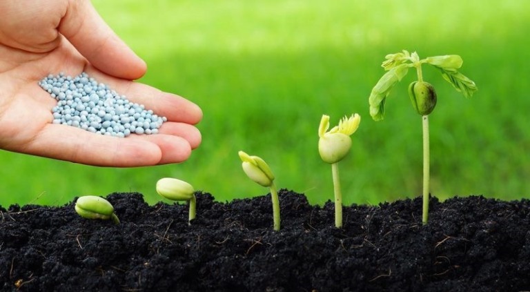 Innova AATB mostra o posicionamento da Mosaic Fertilizantes