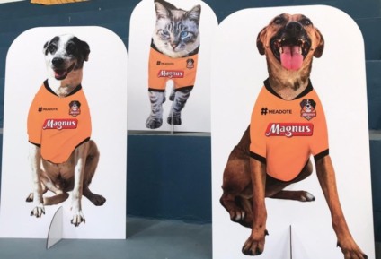 Magnus Futsal inova para incentivar adoção de pets