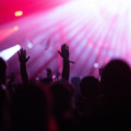 crowd at concert – summer music festival