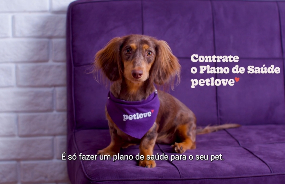 Petlove celebra 280 mil vidas nos planos de saúde com promocão