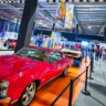 Hot Wheels City Experience chega ao Parque Ibirapuera