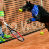 CãoDulas promovem Adoção no Rio Open 2024