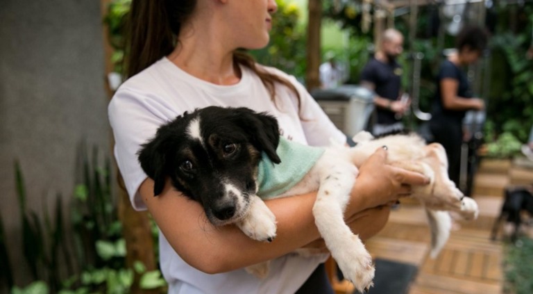 Petlove cria calçada da fama pet para incentivar a adoção