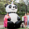 Vizzela celebra Dia Mundial do Panda com Pandacórnio