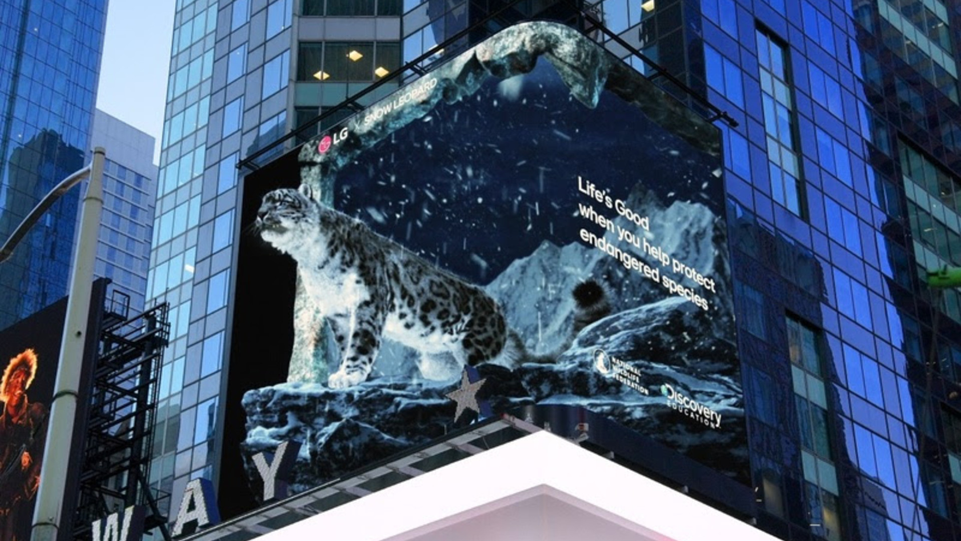 Para comemorar o Dia da Terra de 2024, a LG Electronics lançou hoje uma experiência anamórfica em 3D em seu outdoor na Times Square, na cidade de Nova York, dando destaque para espécies vulneráveis e ameaçadas de extinção. A Série LG Espécies Ameaçadas (em inglês, Endangered Species), que ocorrerá ao longo de 2024, conta com parcerias como o Discovery Education e a National Wildlife Federation, que focam na educação de alunos do Ensino Fundamental e Médio sobre iniciativas de conservação.