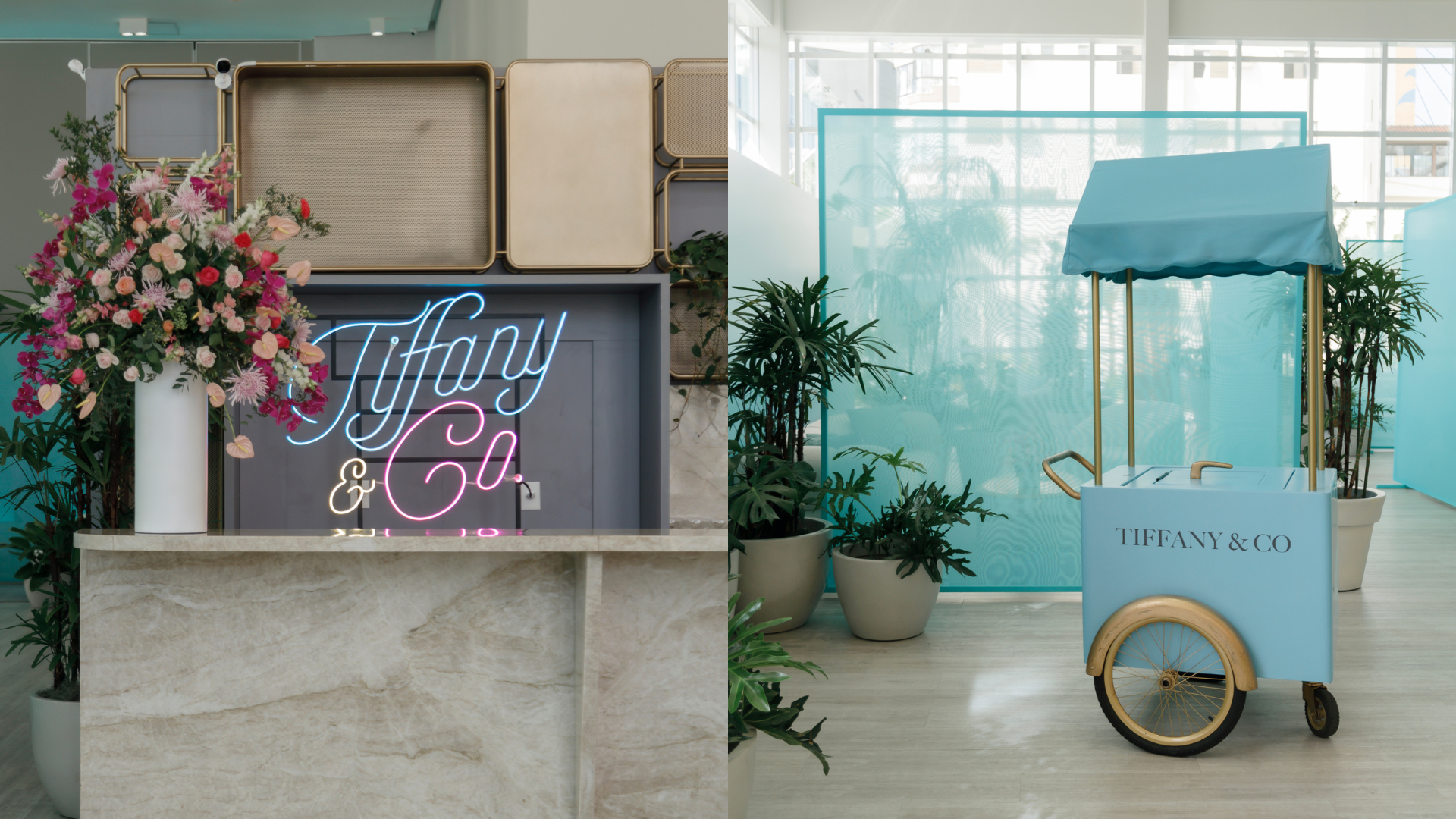 Tiffany & Co. realiza exposição em Balneário Camboriú