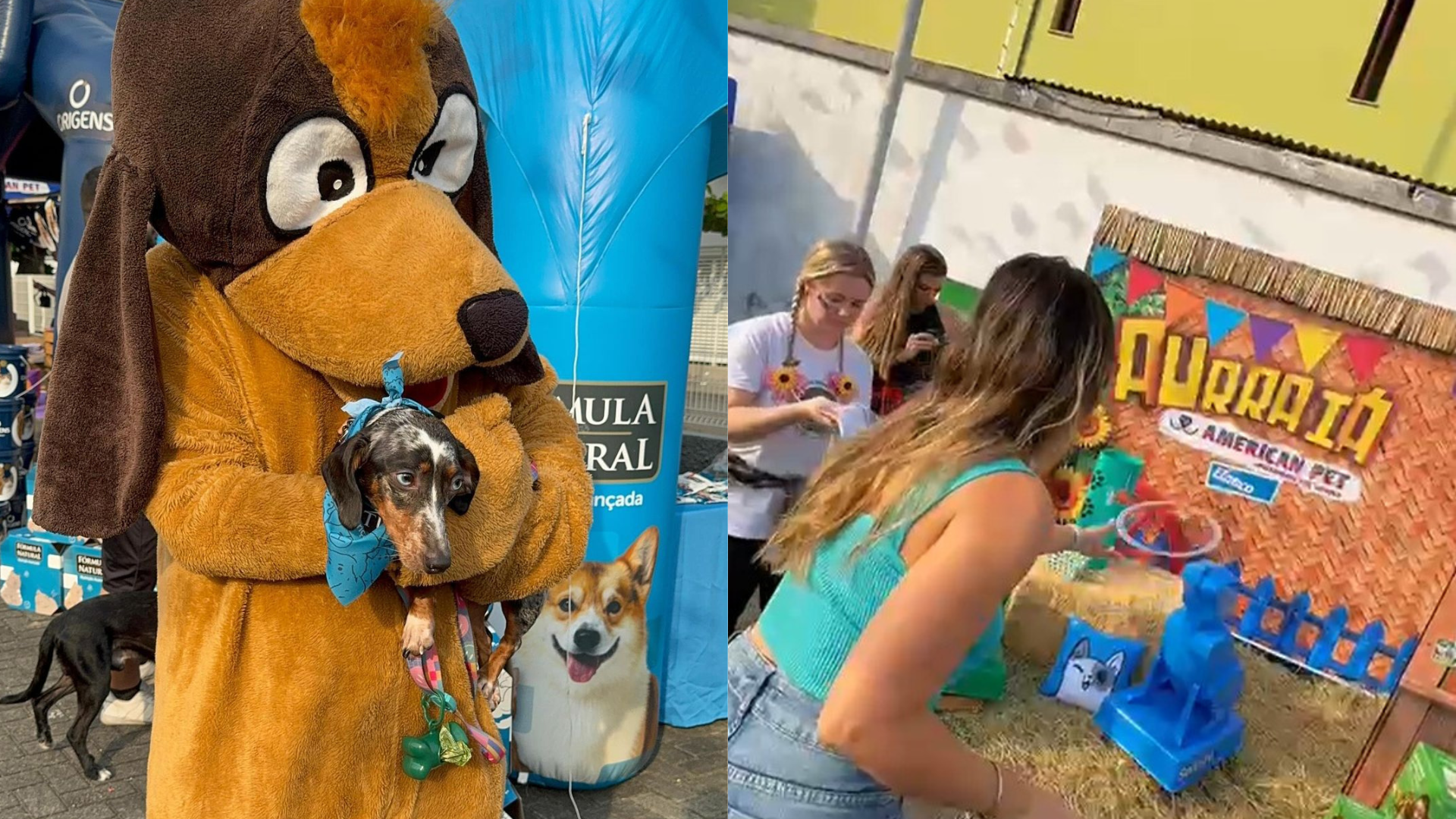 American Pet, varejista do Rio de Janeiro, reúne mais de 500 pessoas e "cãovidados" em evento