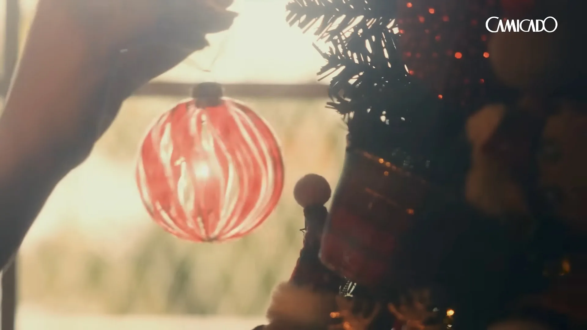 Imagem mostra cena do vídeo da campanha de Natal da Camicado