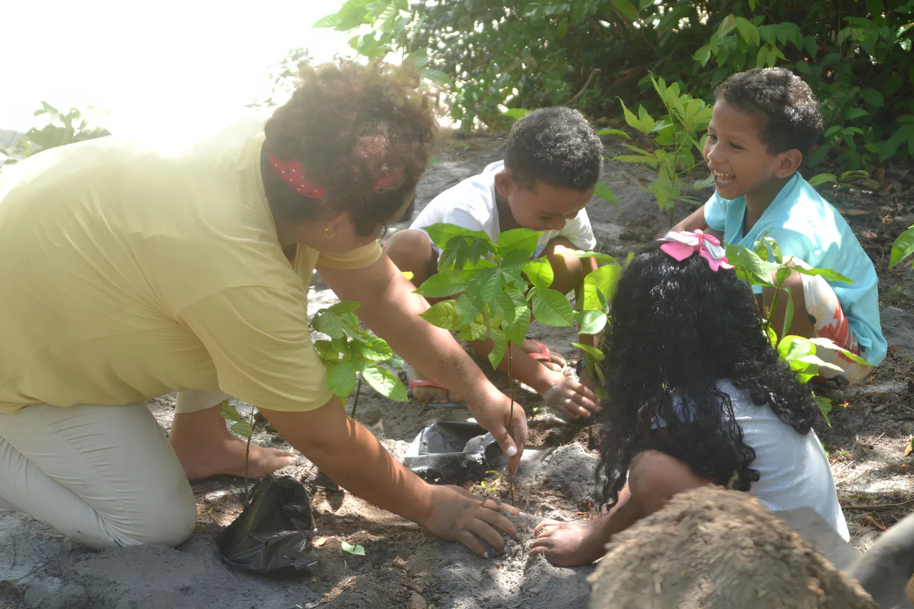 Projeto ASFLORA beneficiado com o edital do The Town e Rock in Rio