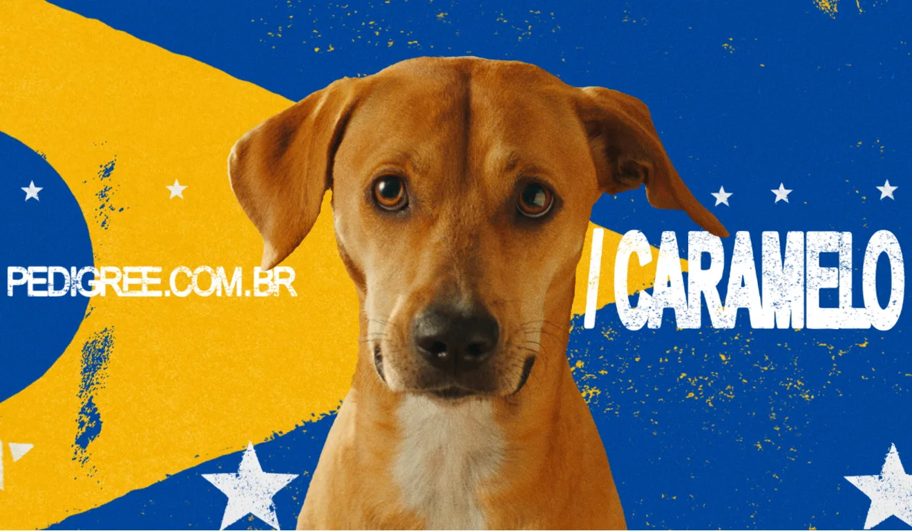 Banner de nova campanha da Pedigree, em homenagem ao vira-lata caramelo