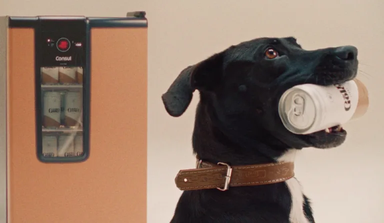 Imagem de vídeo promocional da Consul com o Doutor Pet, sobre campanha de adoção responsável