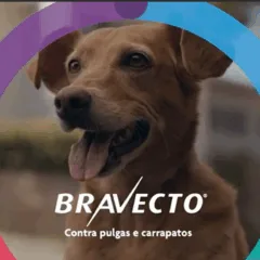 Campanha da Bravecto realizada nos cinemas