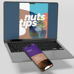 Nuts tips