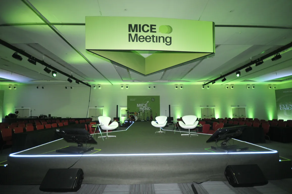 MICE Meeting 2024