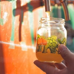 Festival IPA Day
