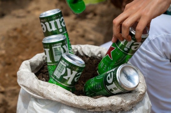 Plantação da microfloresta Heineken em Recife, Pernambuco