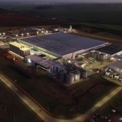 Grupo Petrópolis mira 15% de crescimento em MG até o fim do ano, apostando em patrocínios