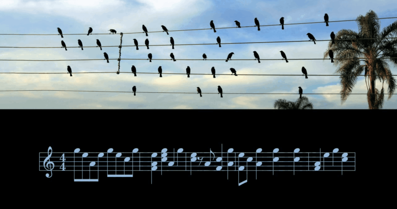 Pássaros em cima de fios de luz se transformam em notas musicais em uma partitura