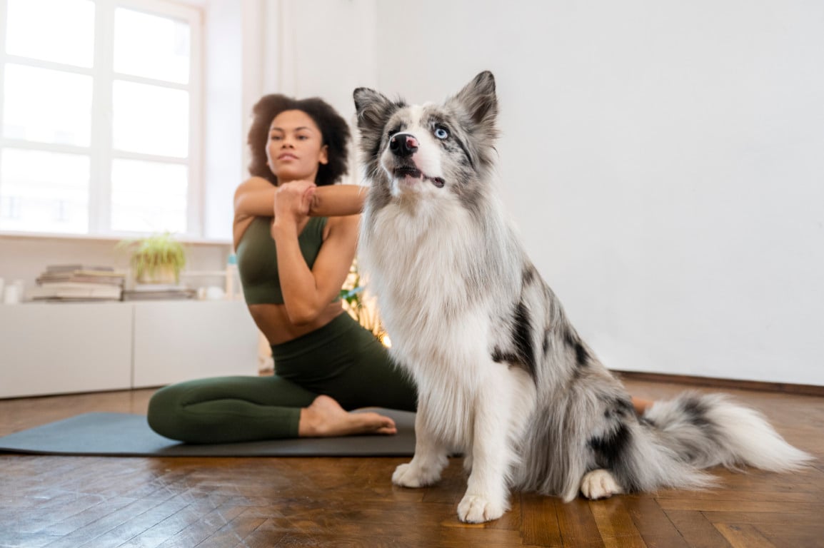 puppy yoga