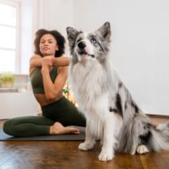 puppy yoga